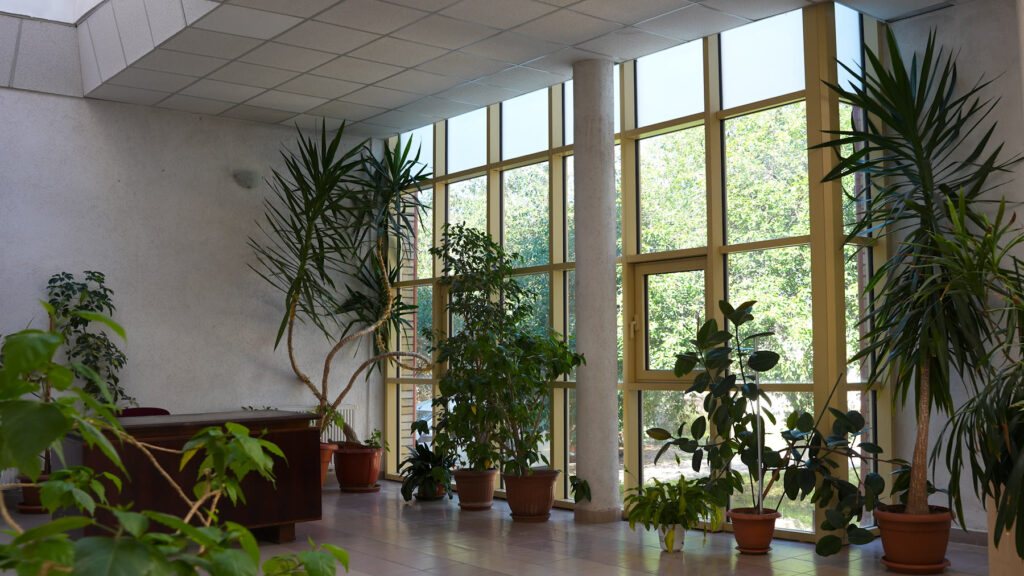 Șomcuta Mare Town Hall, Romania — glazed gallery