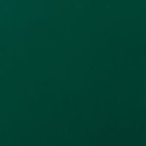 RENOLIT EXOFOL MX Moss Green 6005 foil sample