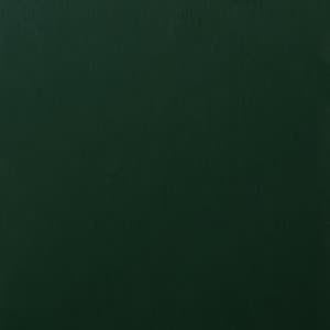 RENOLIT EXOFOL PX Dark Green 6125 foil sample
