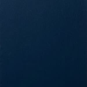 RENOLIT EXOFOL PX Steel Blue 5150 foil sample